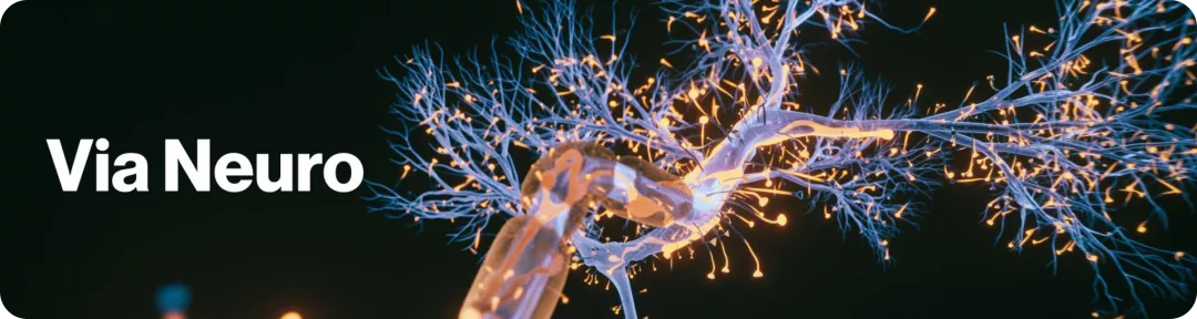 Via Neuro
