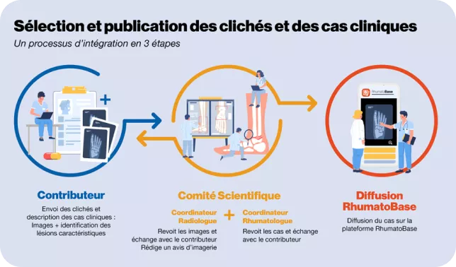 La RhumatoBase, c’est aussi un contenu varié