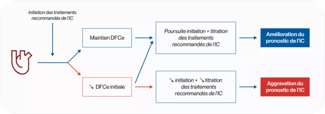 ic-ir-schema