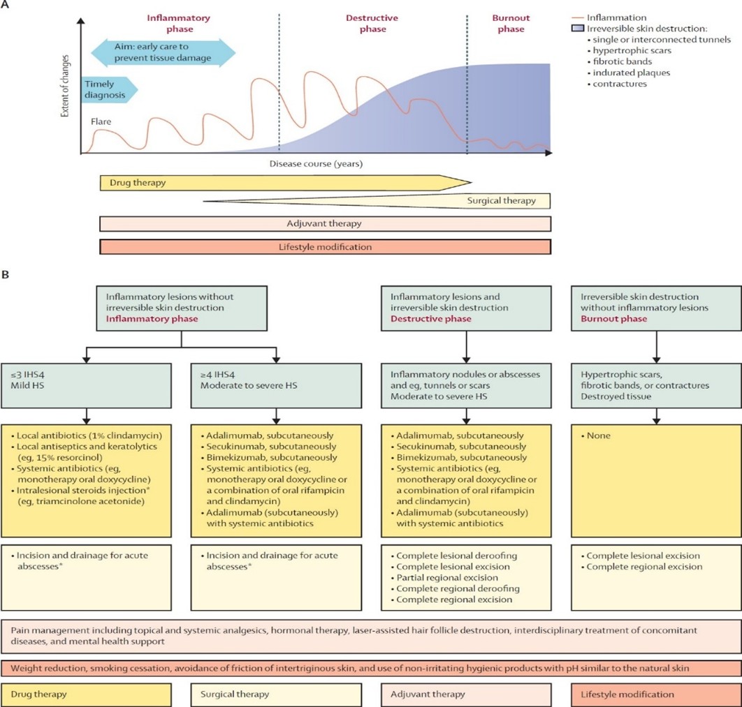 diap-mal-4 diap-mal-4