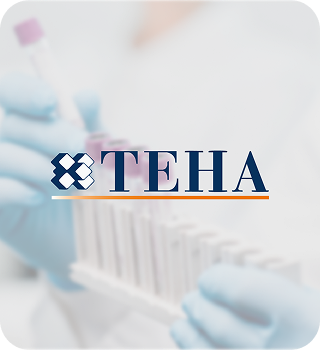 Emato_Ambrosetti_Banner