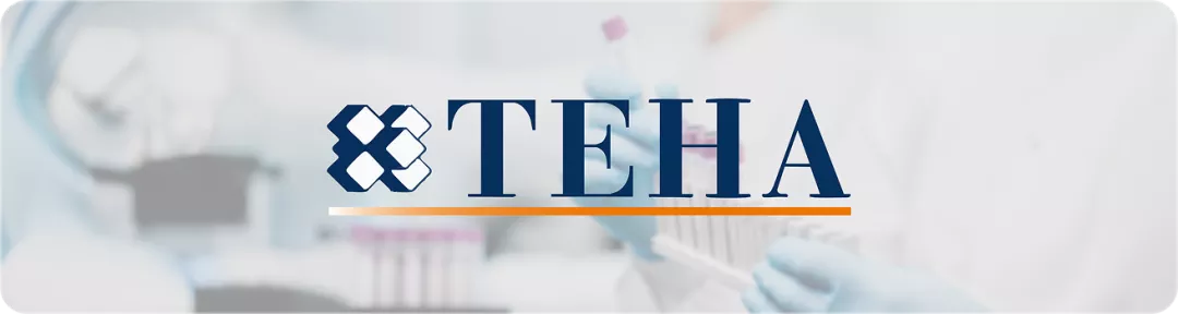 Emato_Ambrosetti_Banner