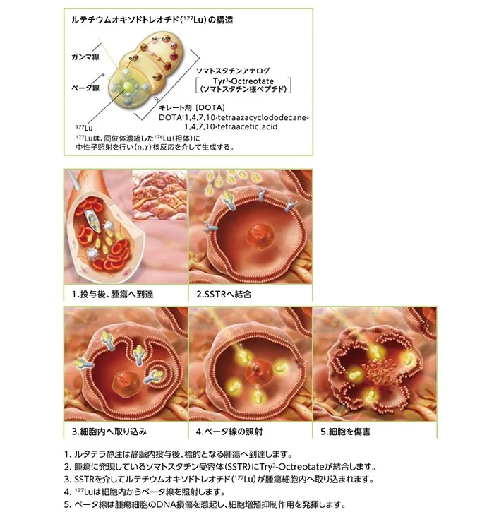 index_img_a index_img_a