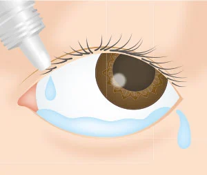 touyo_02_01.png touyo_02_01.png