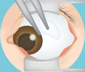 touyo_02_06.png touyo_02_06.png