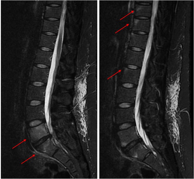 case004_answer_4.jpg case004_answer_4.jpg