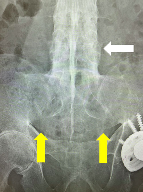 case005_01_2.png case005_01_2.png