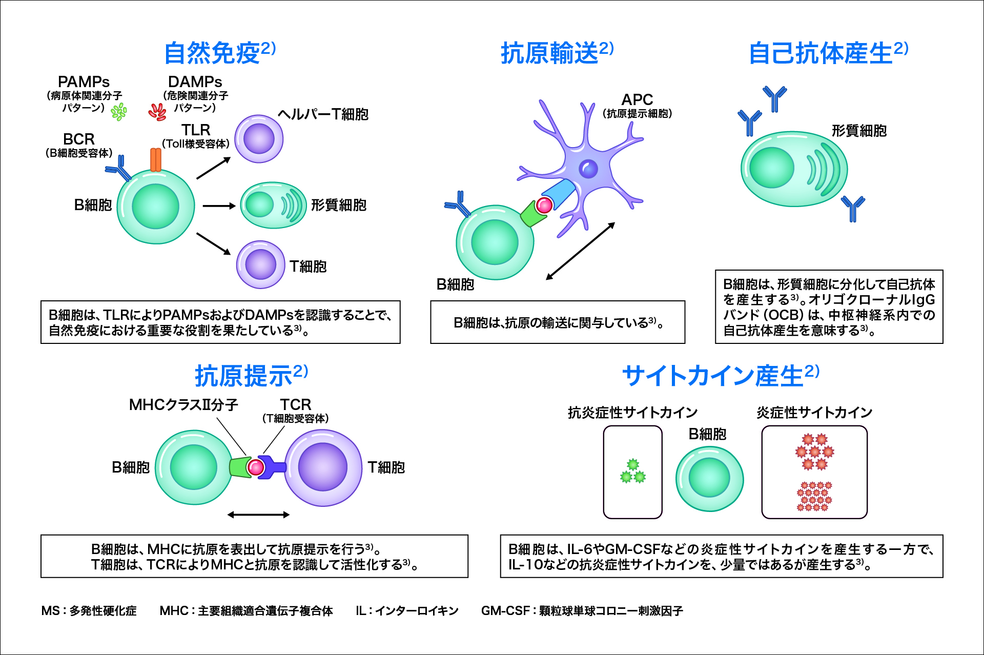 ns_ms_pathology_mod_03.jpg ns_ms_pathology_mod_03.jpg