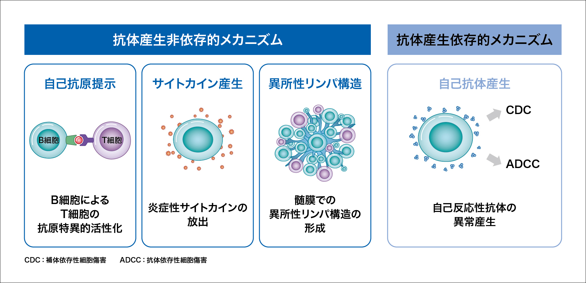 ns_ms_pathology_mod_04.jpg ns_ms_pathology_mod_04.jpg