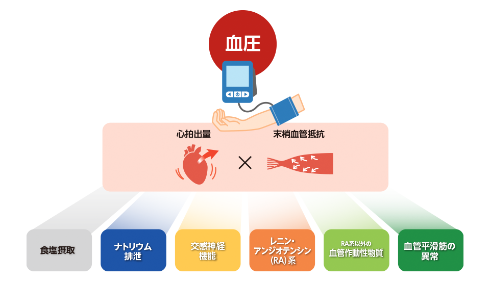 img_q_dr_02_pc.png img_q_dr_02_pc.png