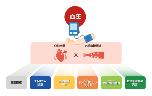 img_q_dr_02_sp.png img_q_dr_02_sp.png