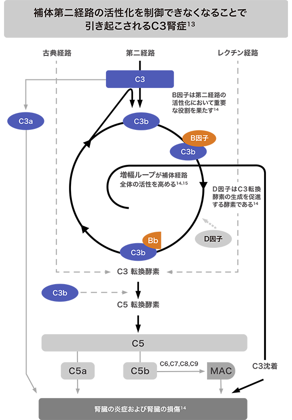 img_c3g_04_250324.png img_c3g_04_250324.png