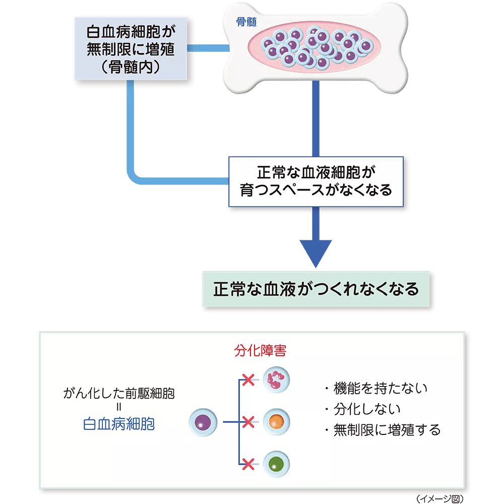 drs_net_ic02_03_rev.png drs_net_ic02_03_rev.png