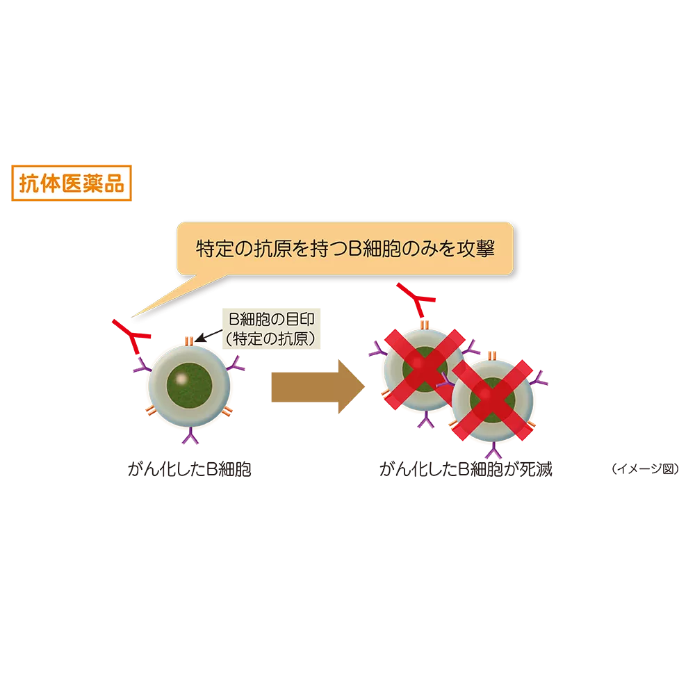drs_net_ic02_08.png drs_net_ic02_08.png