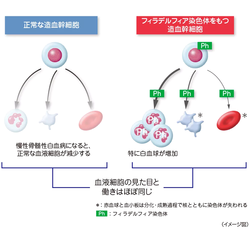 drs_net_ic03_01.png drs_net_ic03_01.png