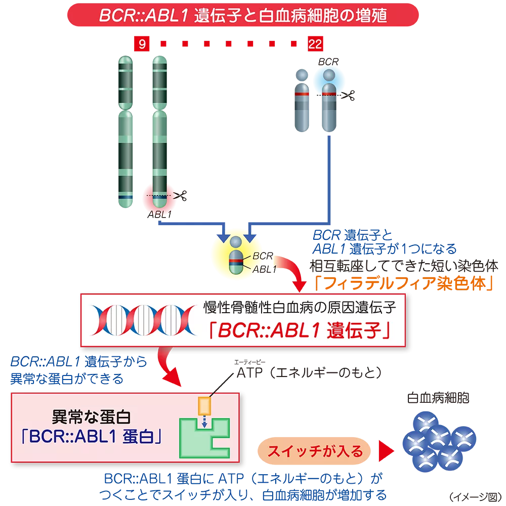 drs_net_ic03_06_rev.png drs_net_ic03_06_rev.png
