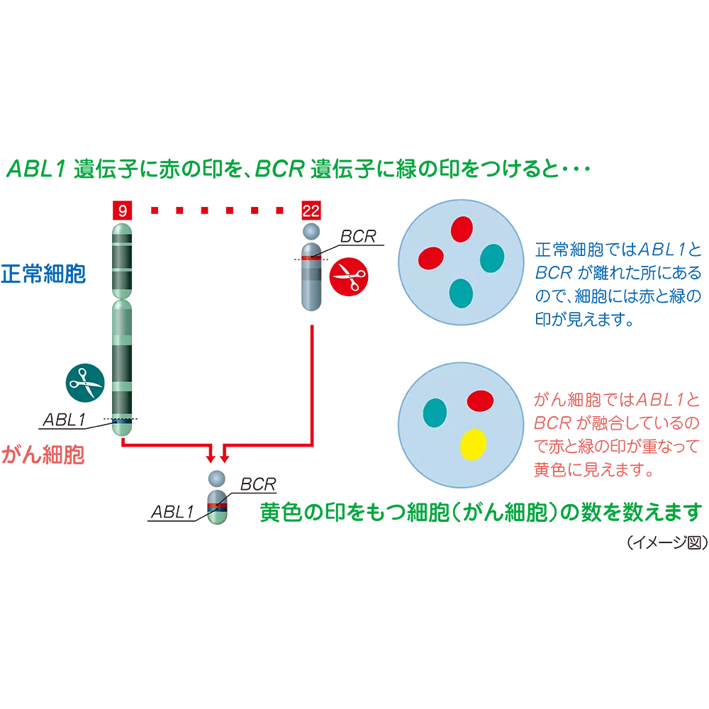 drs_net_ic03_07_rev.png drs_net_ic03_07_rev.png