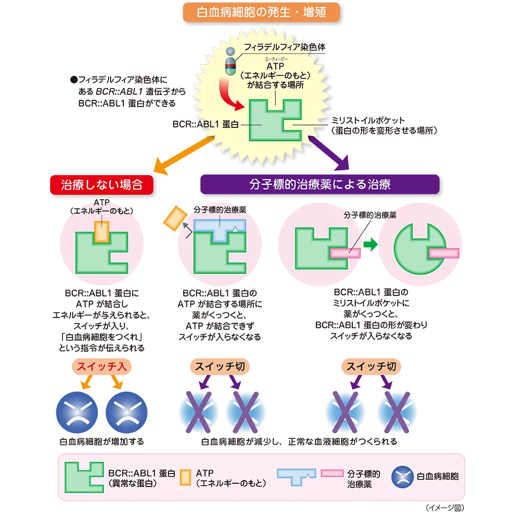 drs_net_ic03_08_rev.png drs_net_ic03_08_rev.png