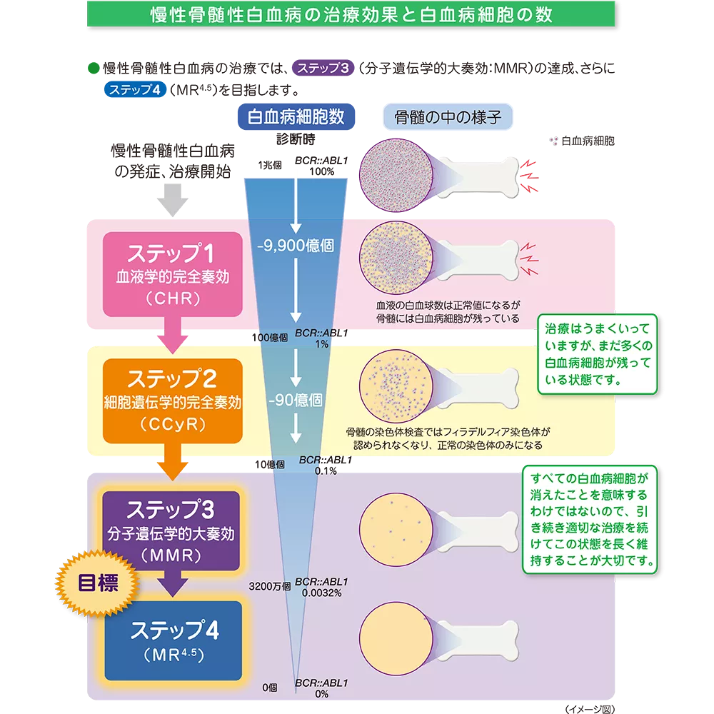 drs_net_ic03_09_rev.png drs_net_ic03_09_rev.png