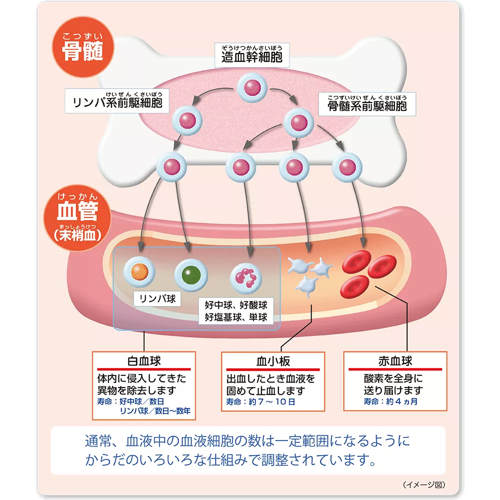 drs_net_ic04_01.png drs_net_ic04_01.png