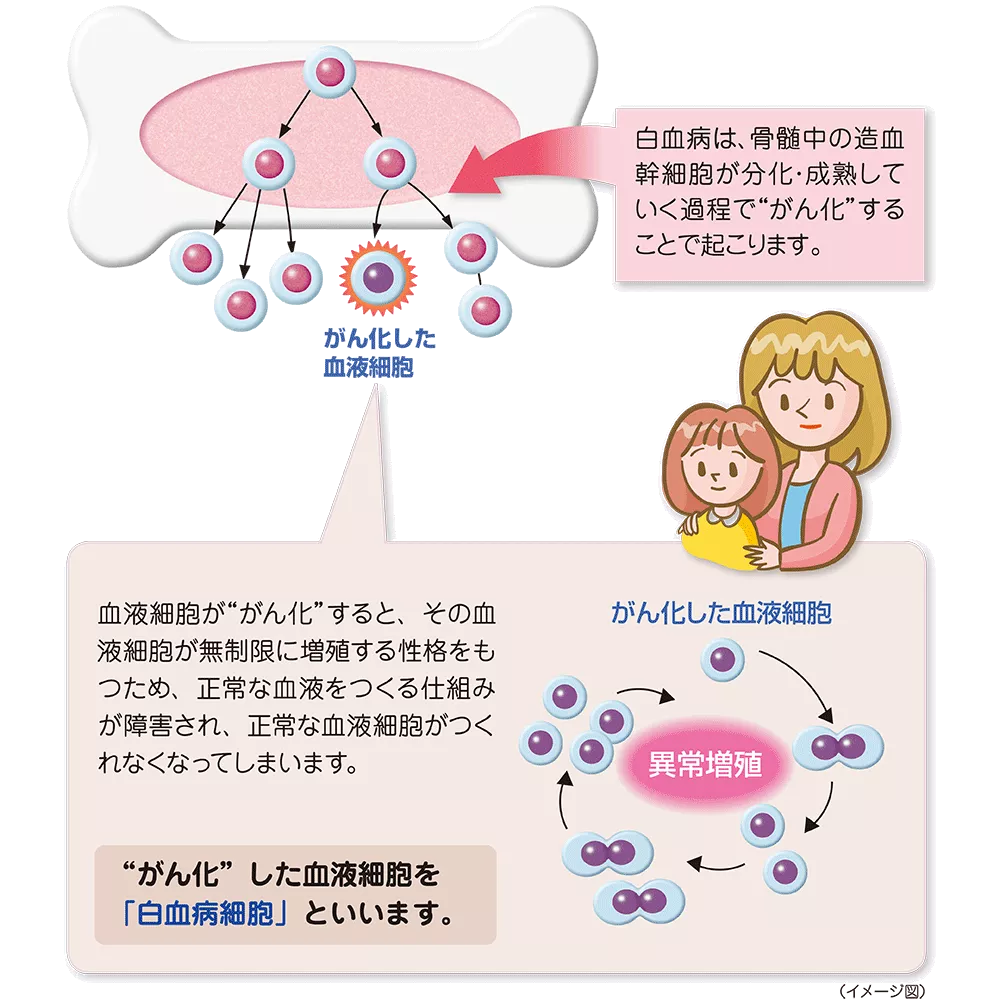 drs_net_ic04_02.png drs_net_ic04_02.png