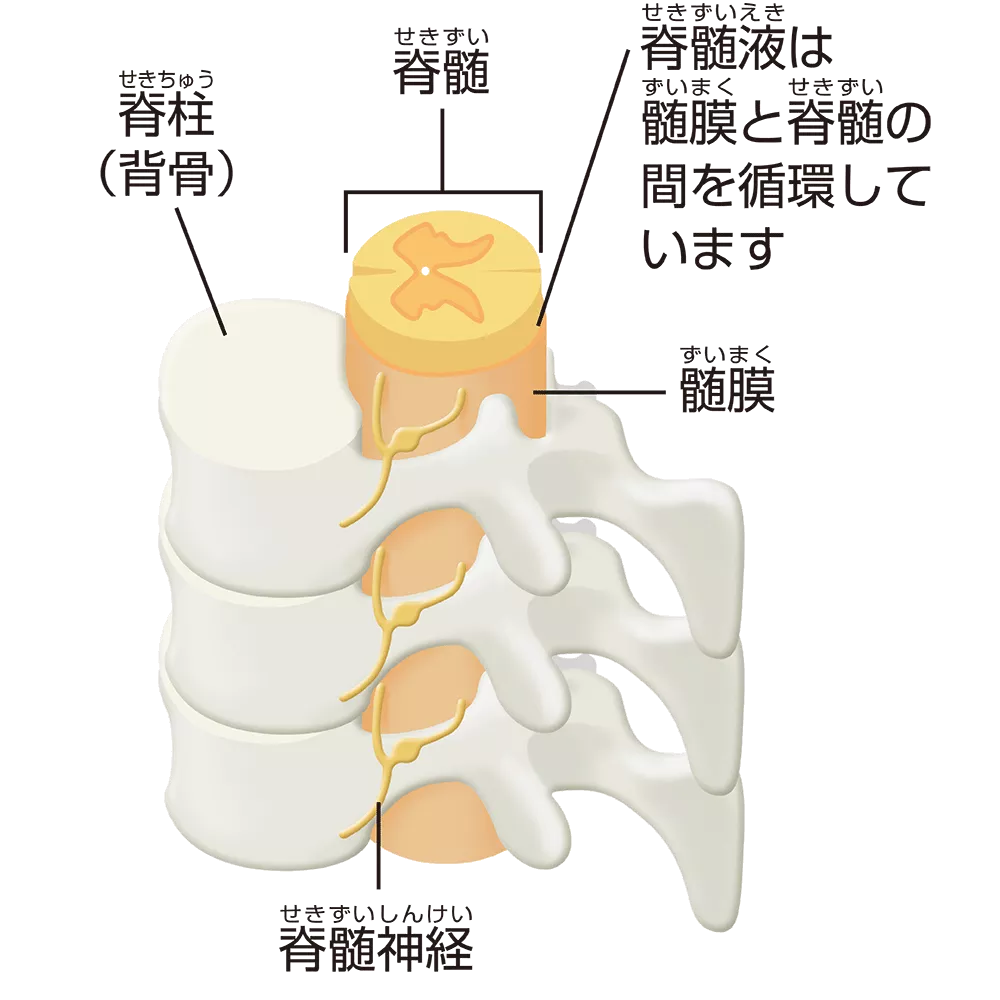 drs_net_ic04_07.png drs_net_ic04_07.png