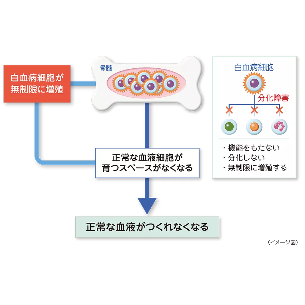 drs_net_ic04_09_rev.png drs_net_ic04_09_rev.png