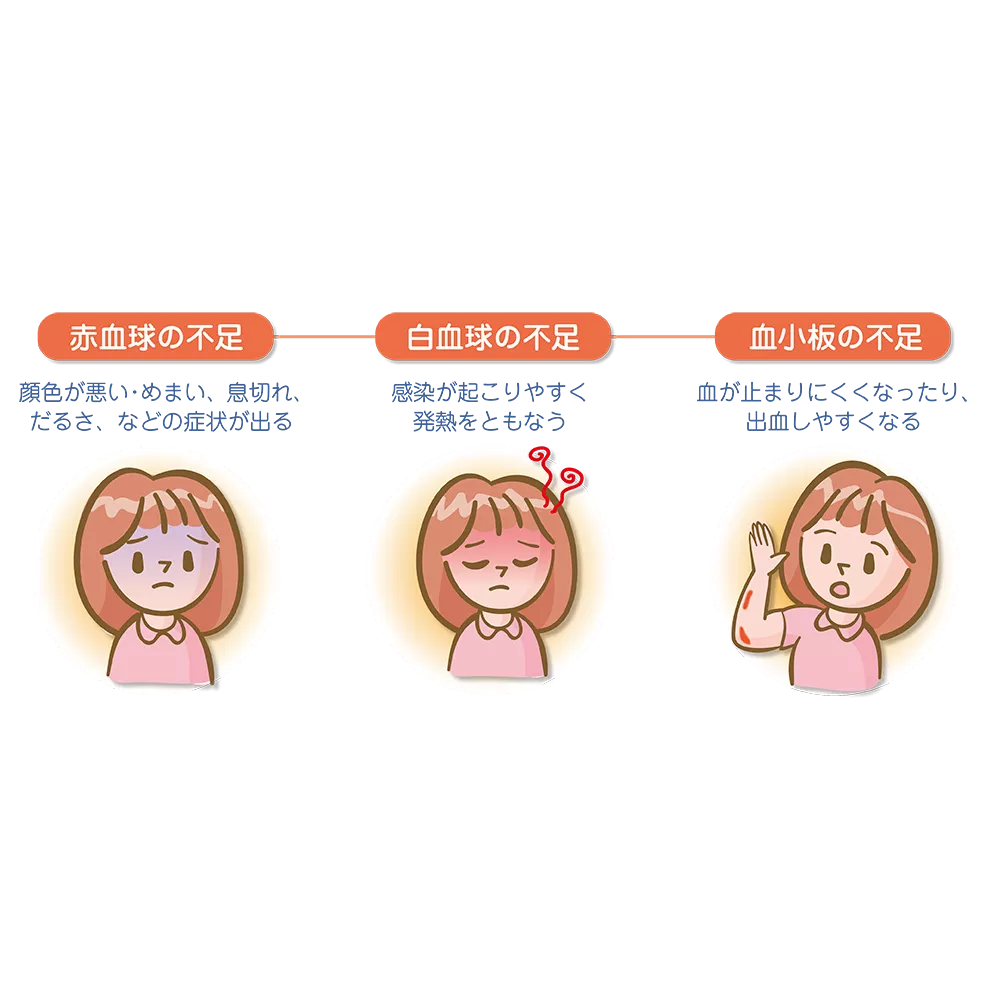 drs_net_ic04_12_rev.png drs_net_ic04_12_rev.png