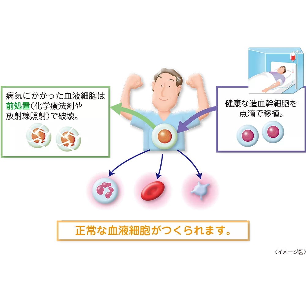 drs_net_ic05_01_rev.png drs_net_ic05_01_rev.png