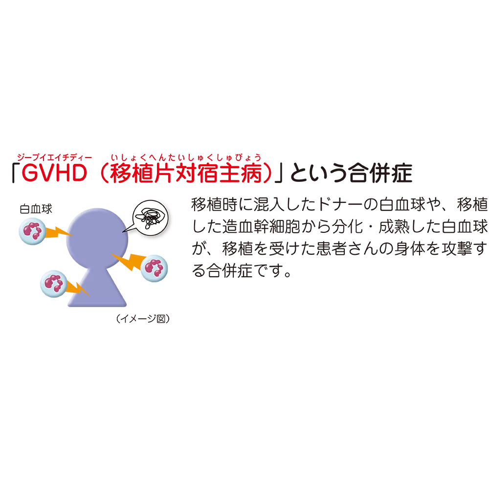 drs_net_ic05_02_rev.png drs_net_ic05_02_rev.png