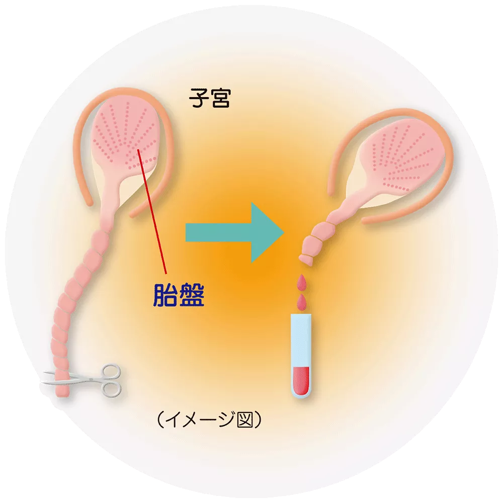 drs_net_ic05_06.png drs_net_ic05_06.png
