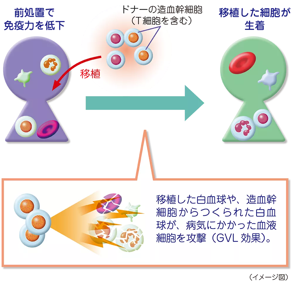 drs_net_ic05_07_rev.png drs_net_ic05_07_rev.png