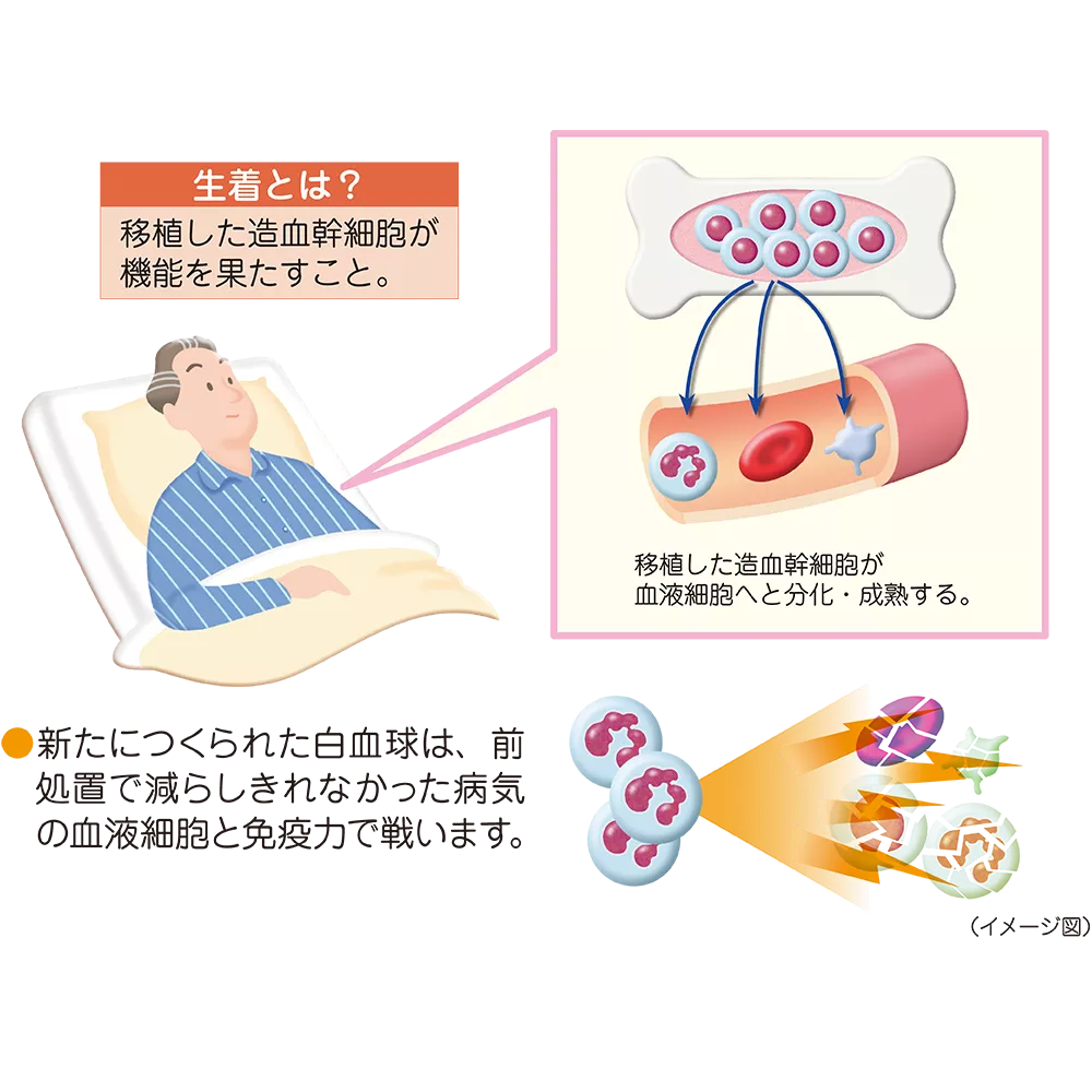 drs_net_ic05_10_rev.png drs_net_ic05_10_rev.png