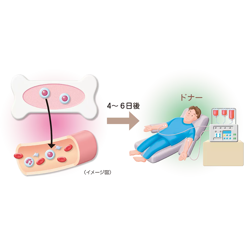 drs_net_ic05_11_rev.png drs_net_ic05_11_rev.png