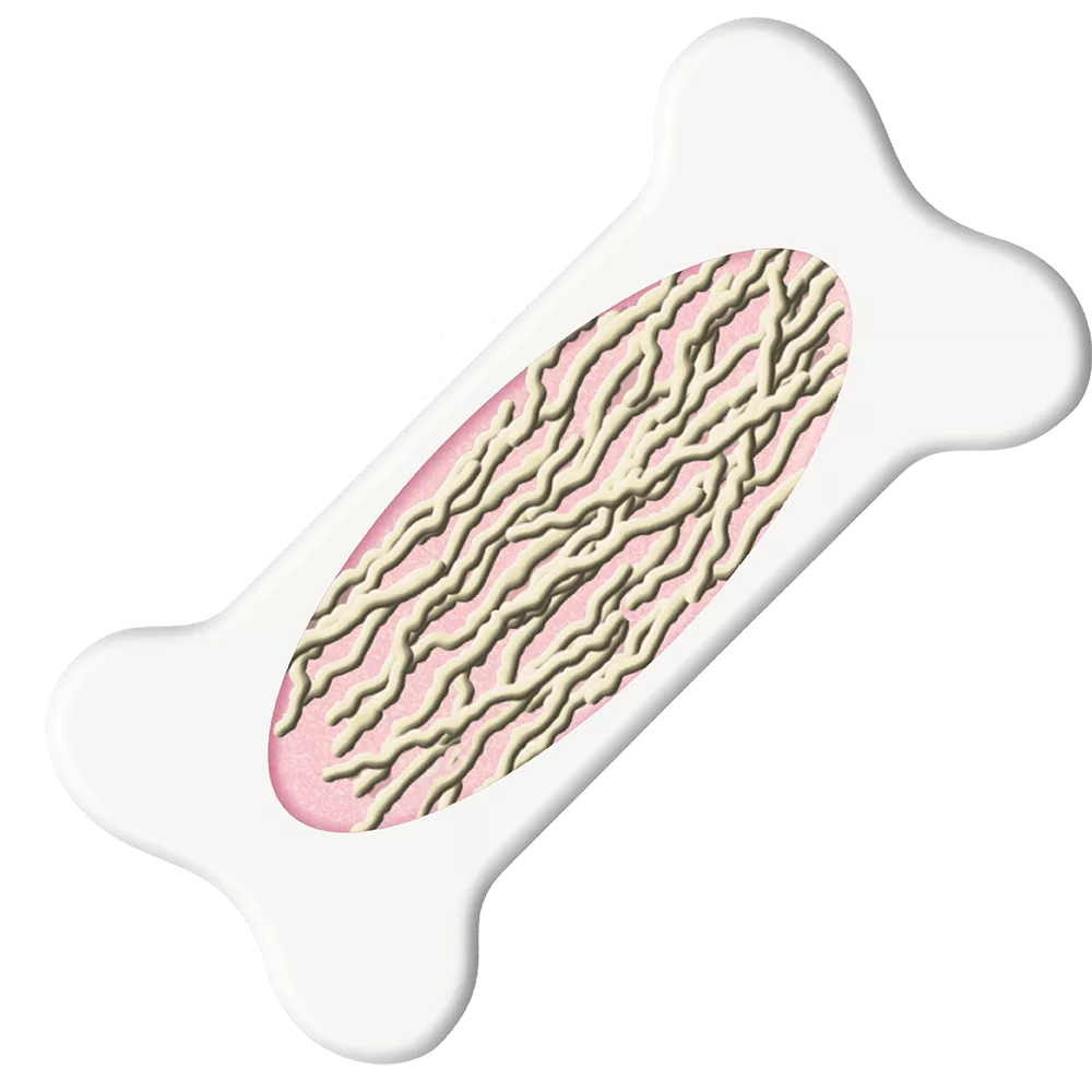 drs_net_ic13_01.png drs_net_ic13_01.png
