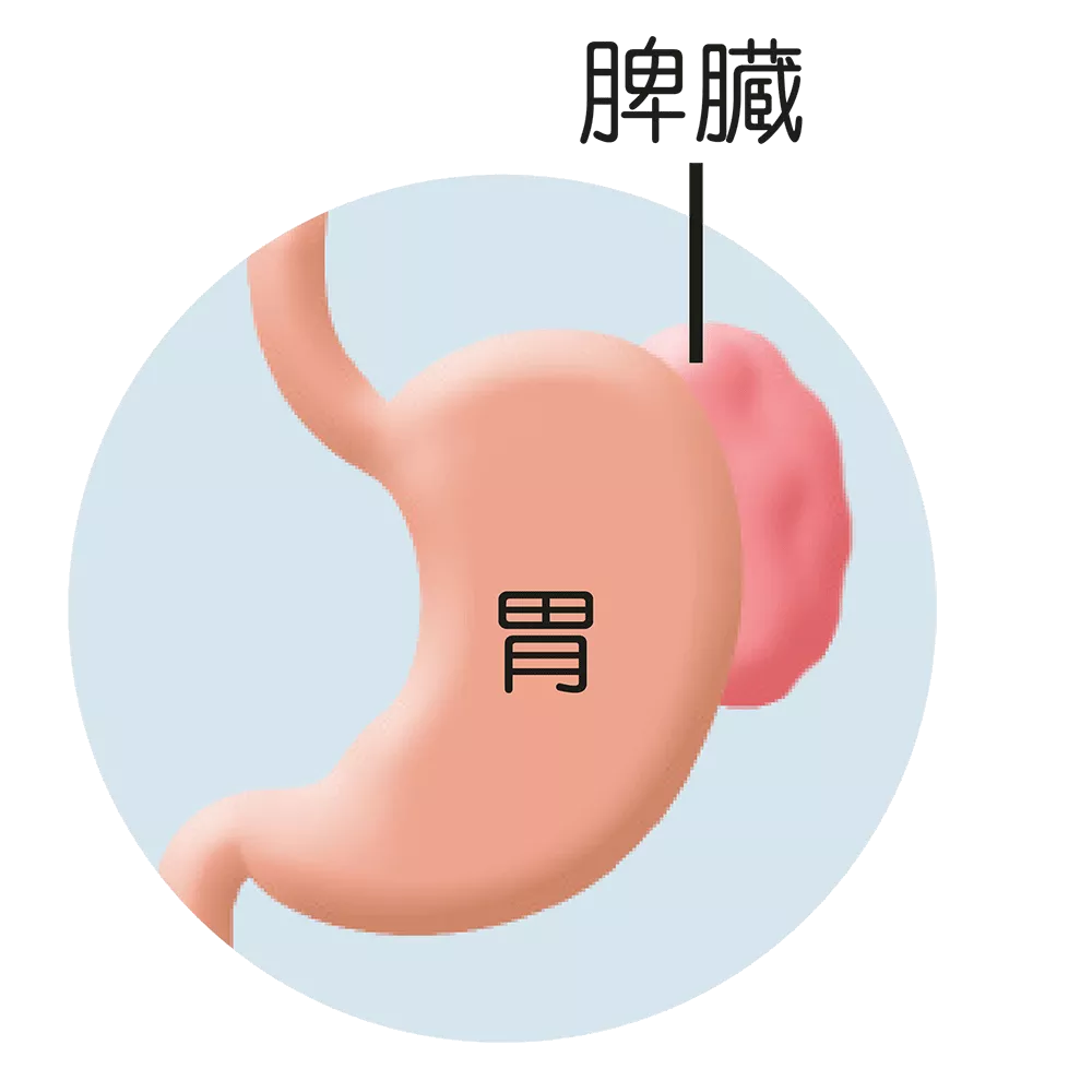drs_net_ic13_02.png drs_net_ic13_02.png