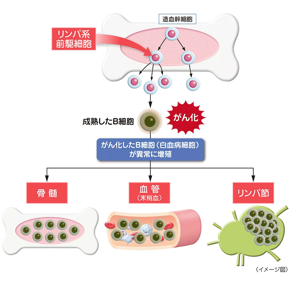 drs_net_ic15_03.png drs_net_ic15_03.png