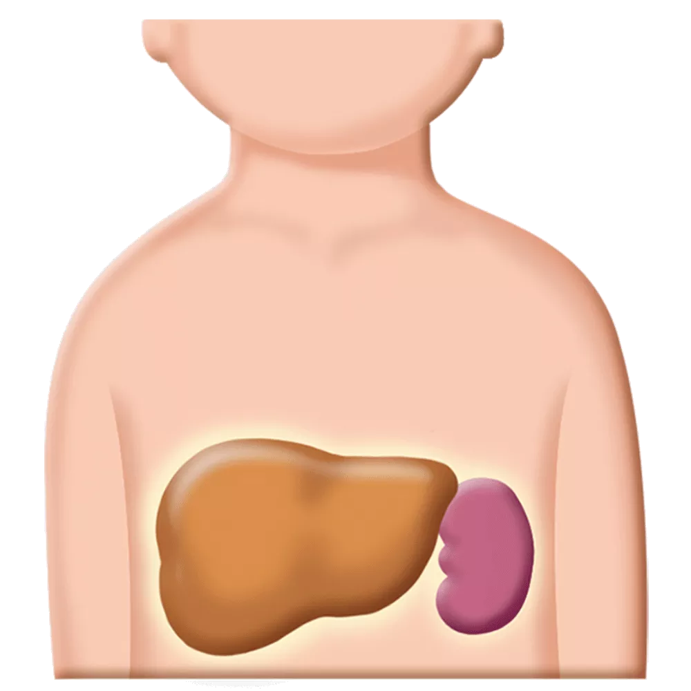 drs_net_ic15_08.png drs_net_ic15_08.png