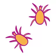 img_a_disease_007_rev