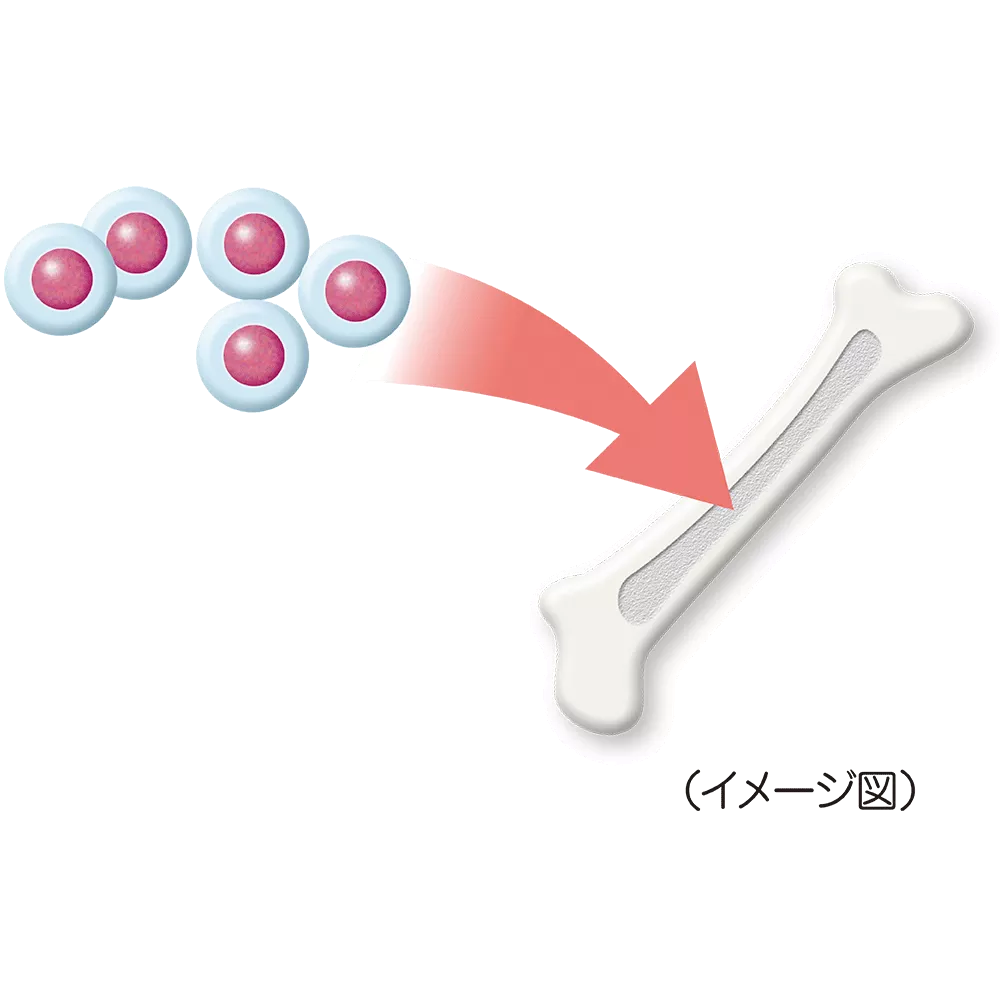 drs_net_ic02_05.png drs_net_ic02_05.png