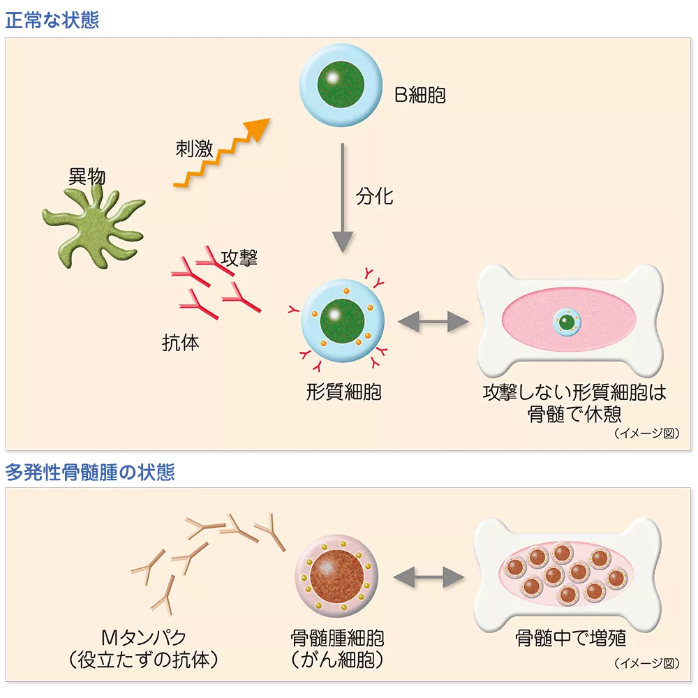 drs_net_ic01_02.png drs_net_ic01_02.png