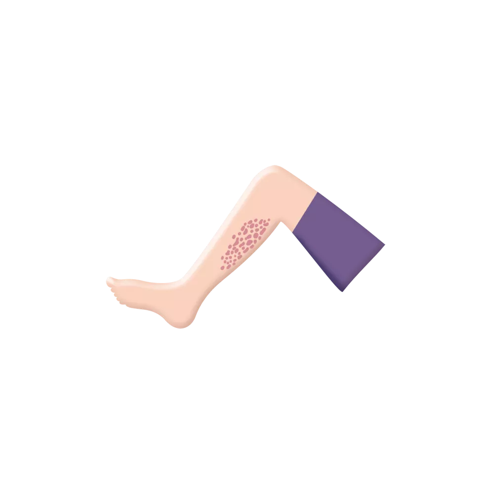drs_net_068.png
