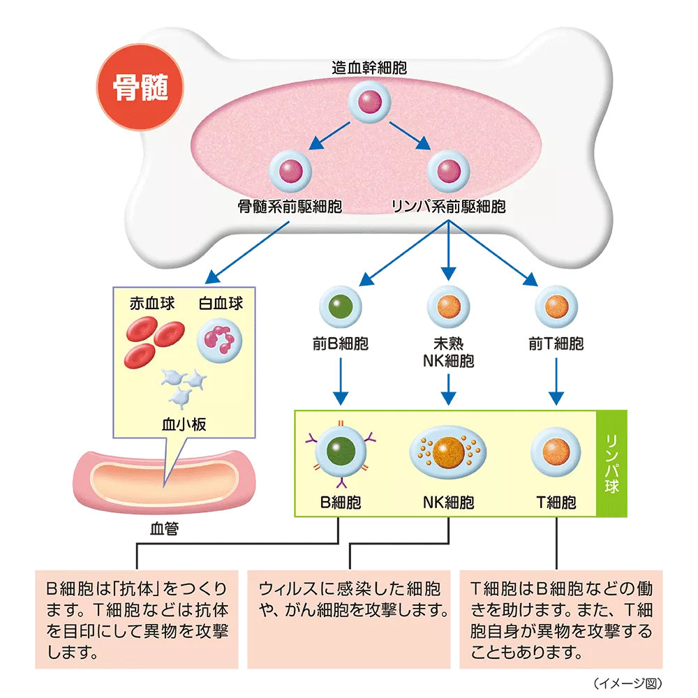 drs_net_ic07_01.png