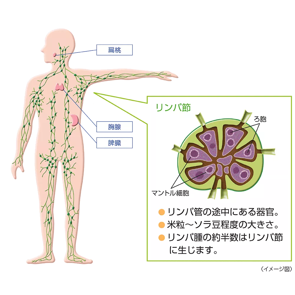 drs_net_ic07_02.png