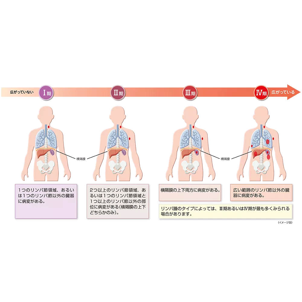 drs_net_ic07_04.png