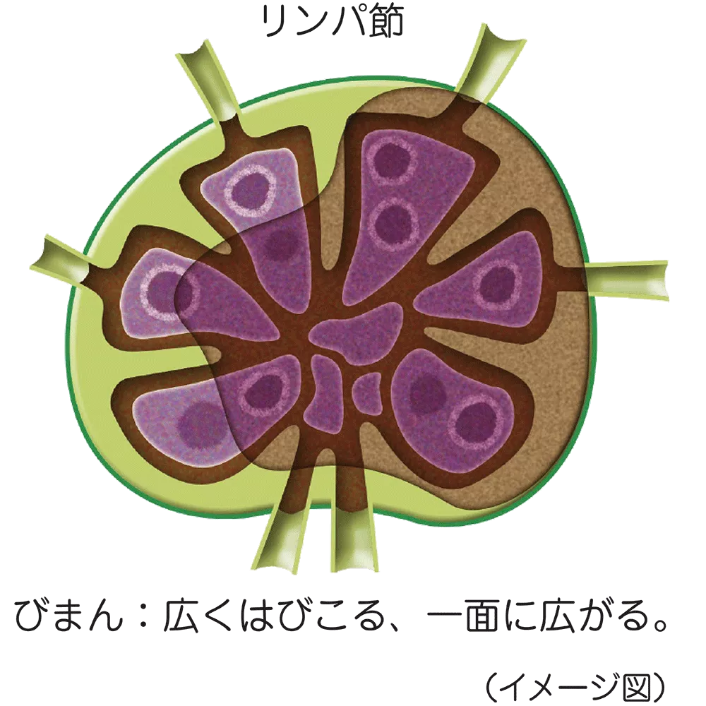 drs_net_ic07_07.png