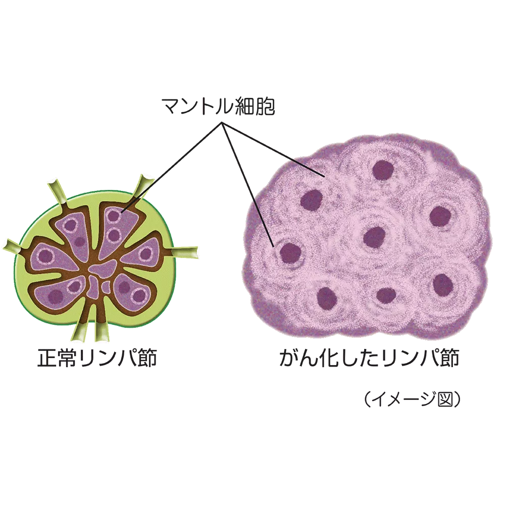 drs_net_ic07_09.png