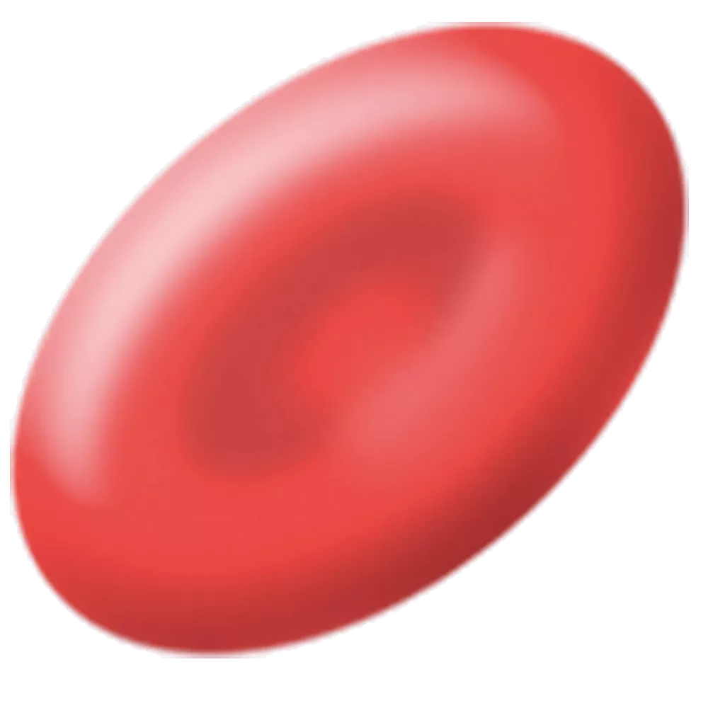 drs_net_ic07_10.png drs_net_ic07_10.png