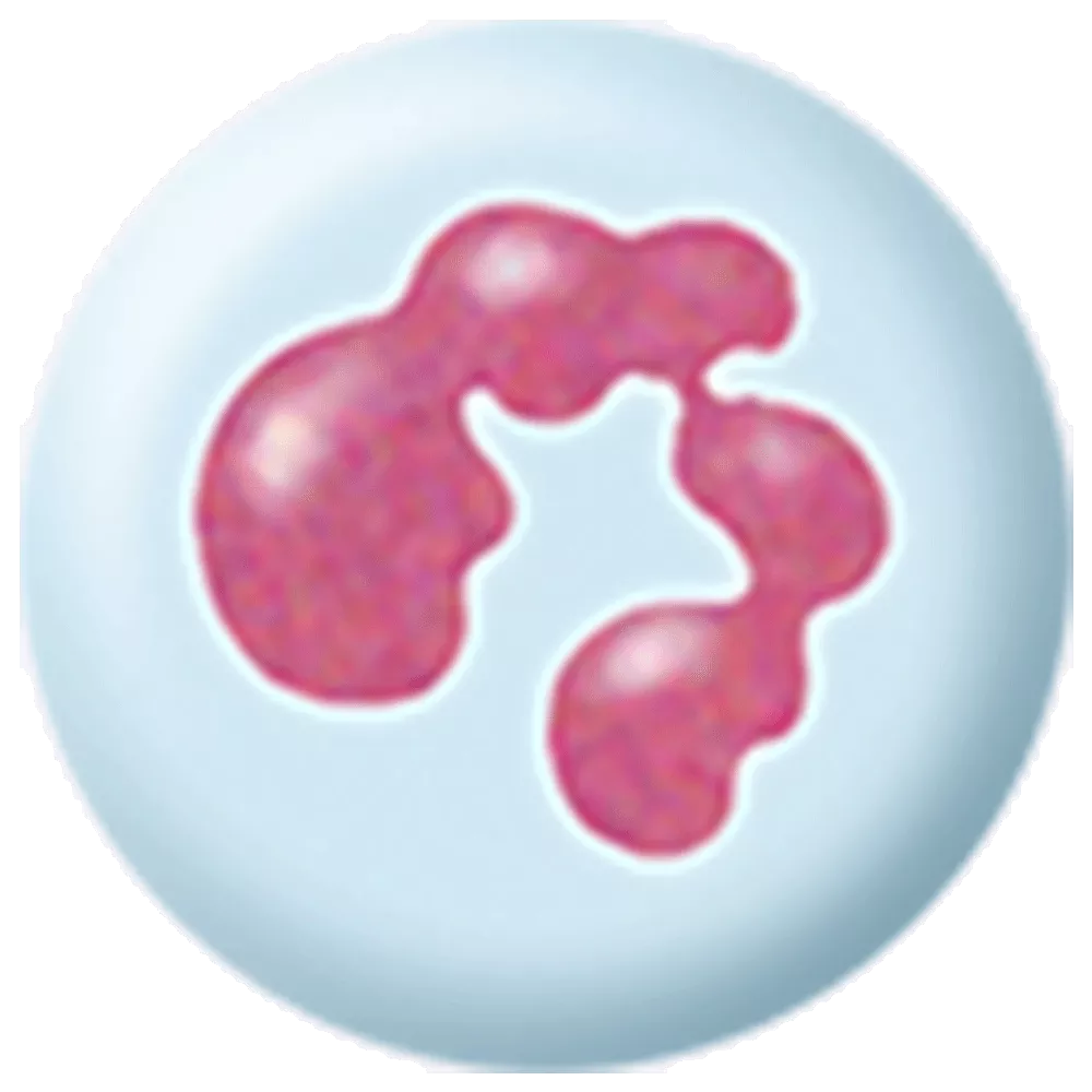 drs_net_ic07_12.png drs_net_ic07_12.png