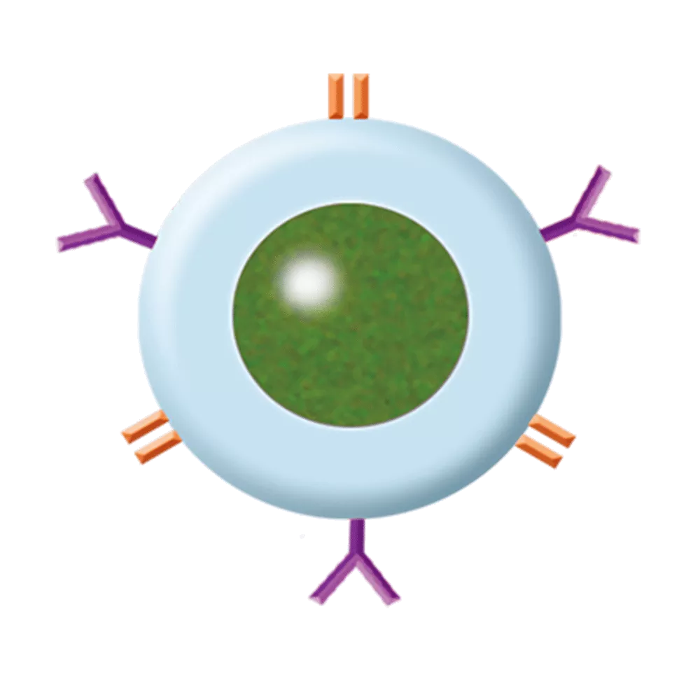 drs_net_ic07_14.png drs_net_ic07_14.png